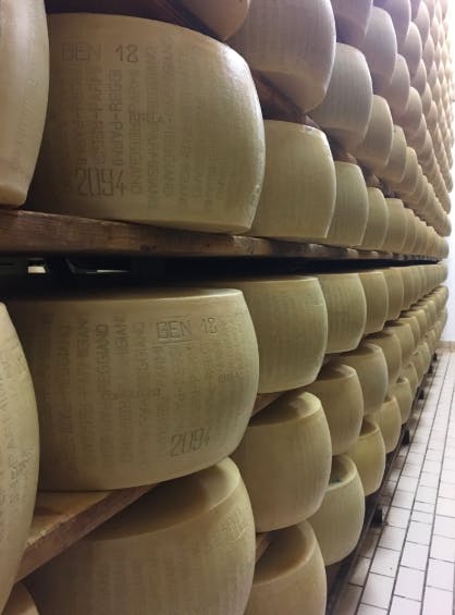 Osten som kan gjøre godt for magen: laktosefri ost